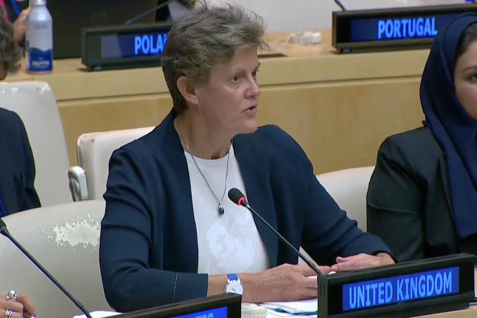 Ambassador Barbara Woodward speaks at UN Security Council arria meeting