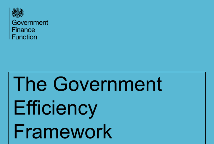 Front cover of Government Efficiency Framework