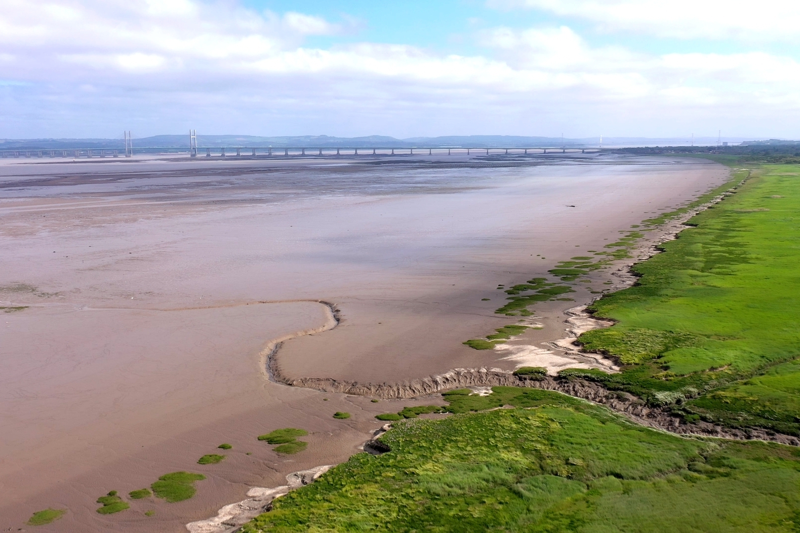 The image shows the coastal margin looking north towards the Prince of Wales Bridge