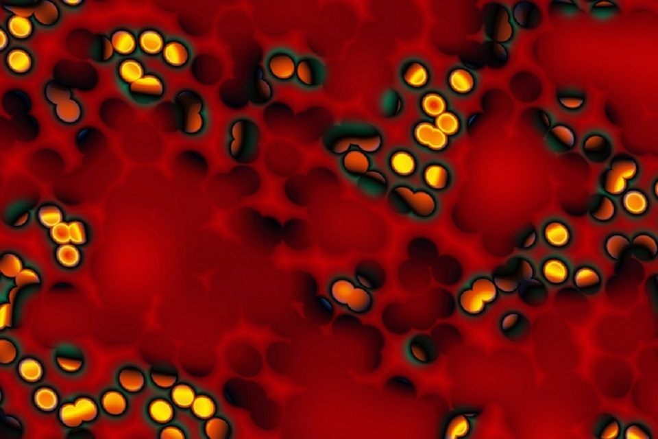 Hepatitis C prevalence falls by 45% in England
