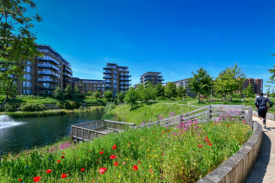 Biodiversity Net Gain moves a step closer with more funding