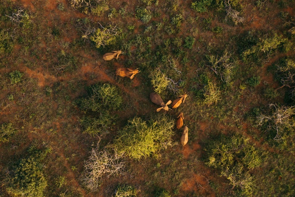 UK among first countries to back new nature recovery fund