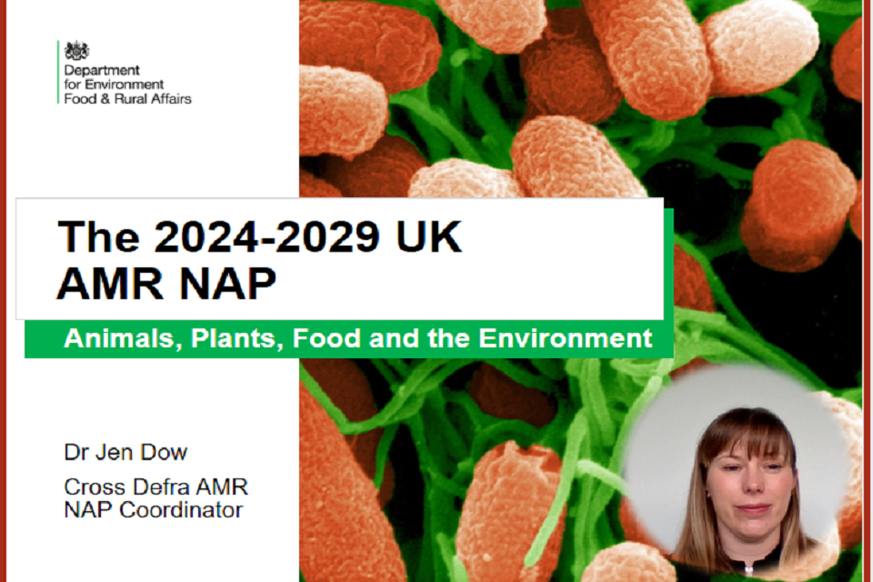 Share your views on the AMR National Action Plan 2024-2029