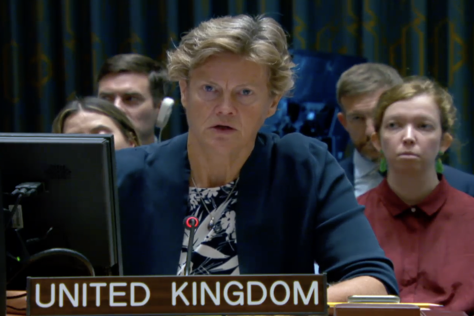 Ambassador Barbara Woodward at the UN Security Council.