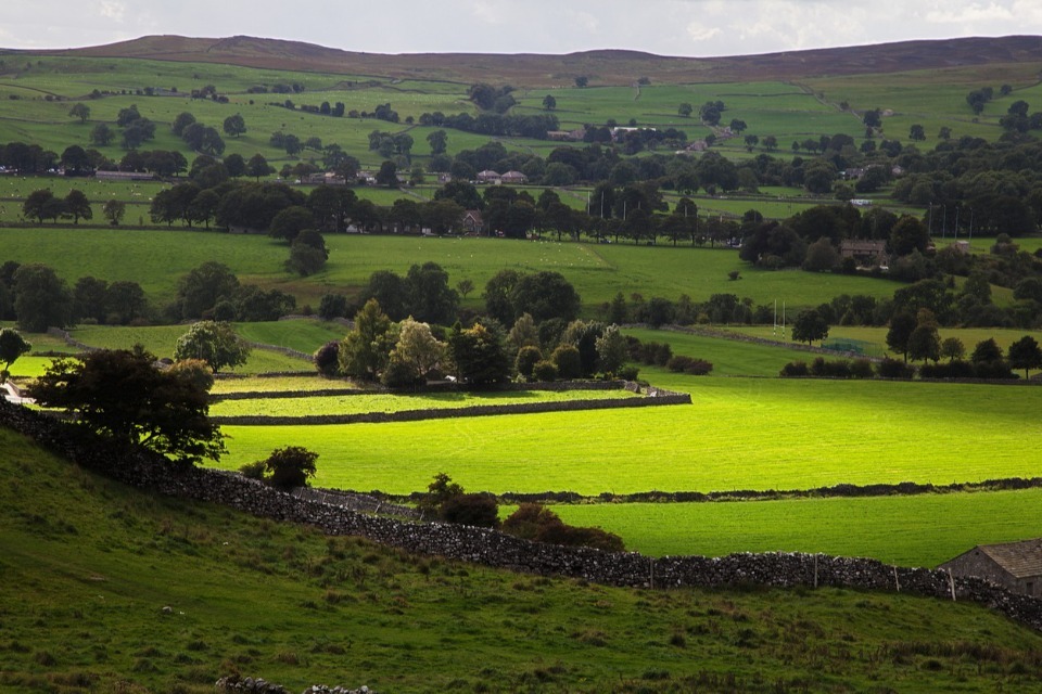 Plan to boost British produce on Back British Farming Day