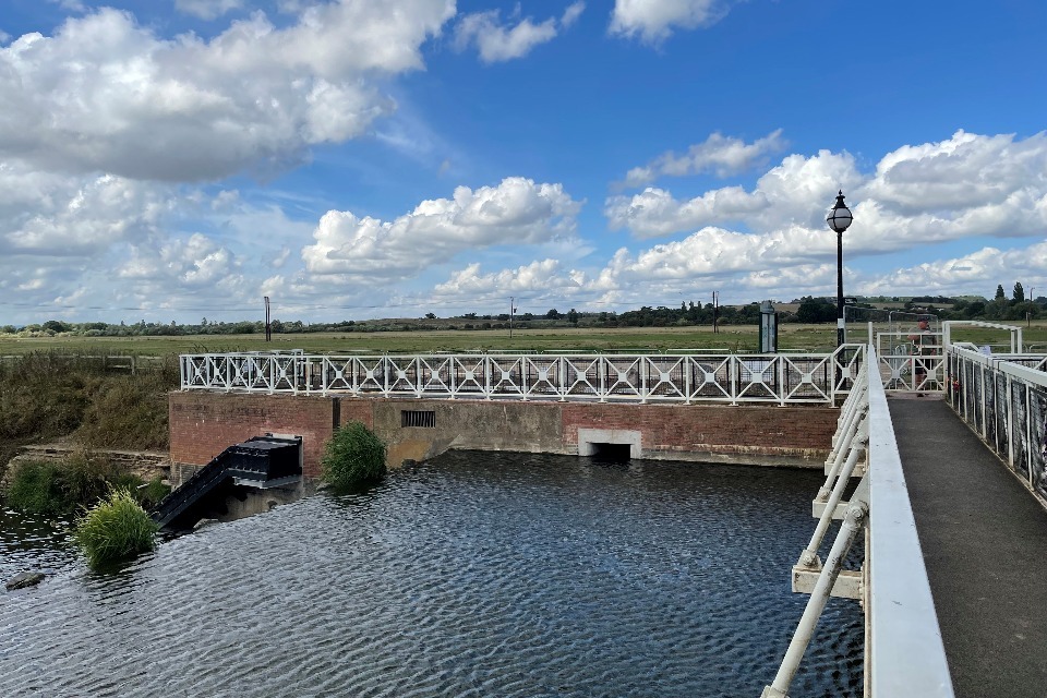 Critically endangered European eel given hope for the future