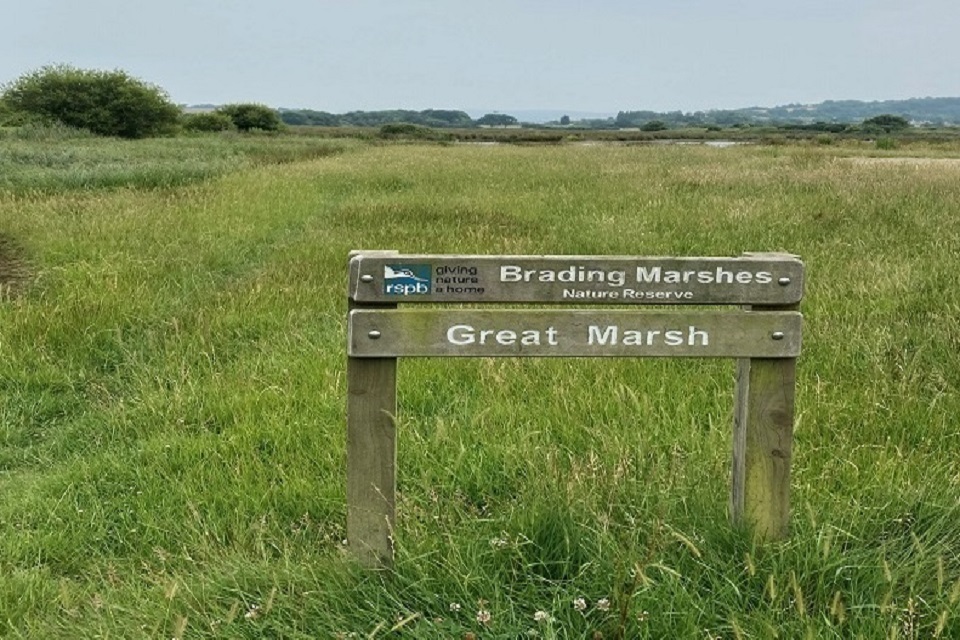 Environment Agency starts work on Isle of Wight coastal defence