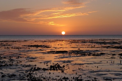 Фотография восхода солнца над морем и илистыми отмелями.