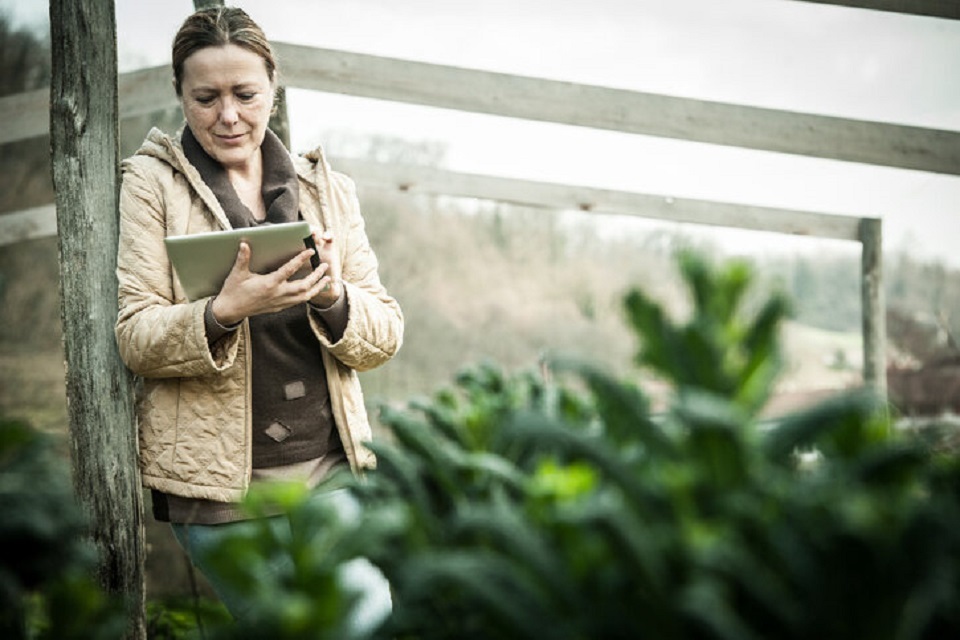 £12.5m for robotics and automation to boost sustainable farming