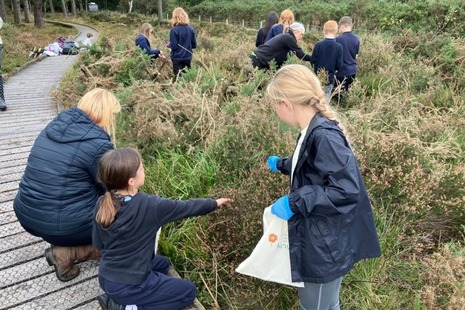 Photograph of a group of school children looking through undergrowth