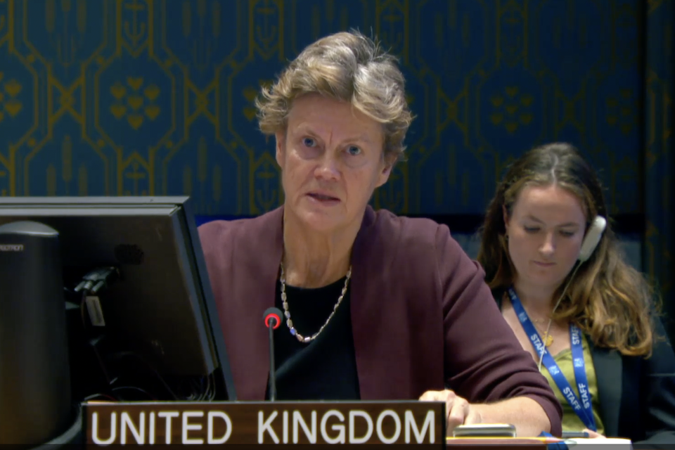 Ambassador Barbara Woodward at the UN Security Council meeting