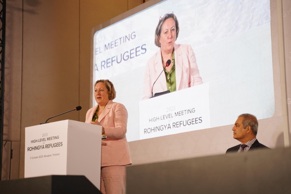 UK announces further assistance for Rohingya people in Bangladesh