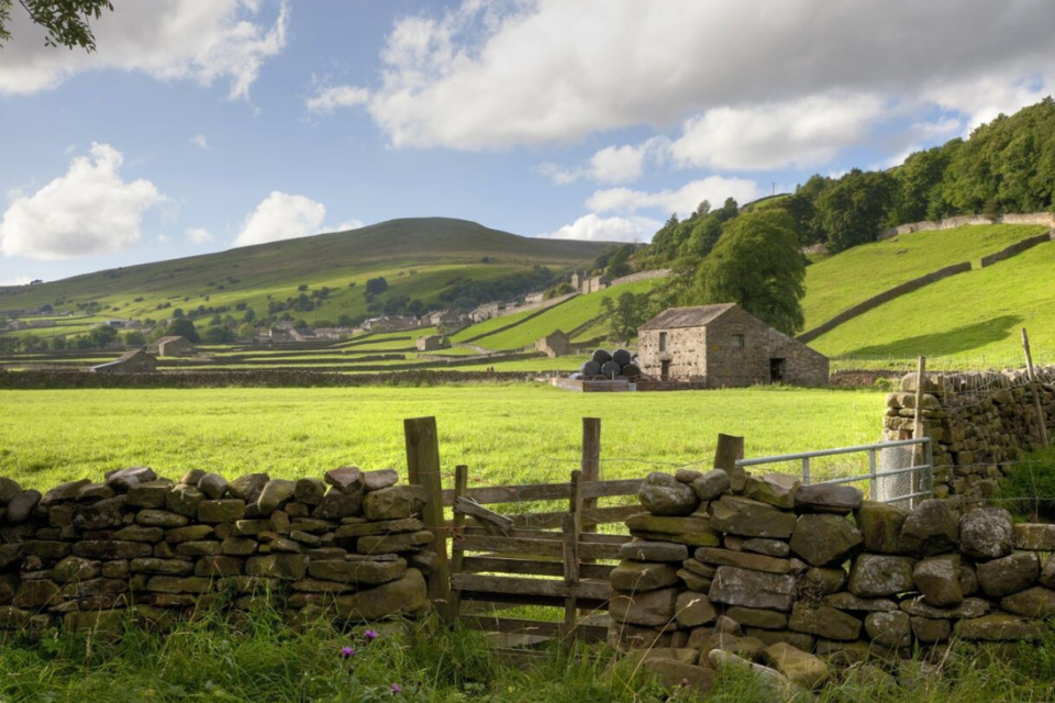 First farmers receive Sustainable Farming Incentive early payment