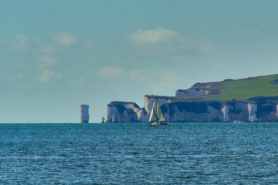Local partnership and MMO join forces to preserve Studland Bay’s precious seagrass habitats