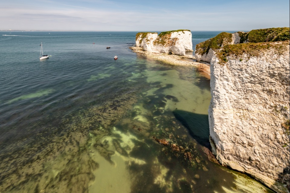 Exploring and celebrating Studland Bay’s environment