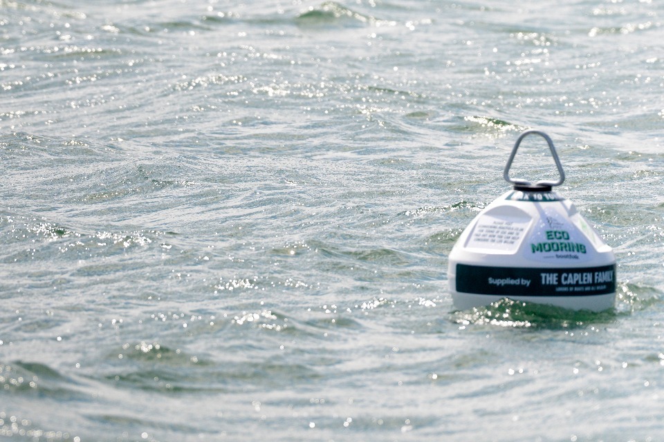 Local marine partnership receives funding to deliver innovative conservation projects in Studland Bay, Dorset