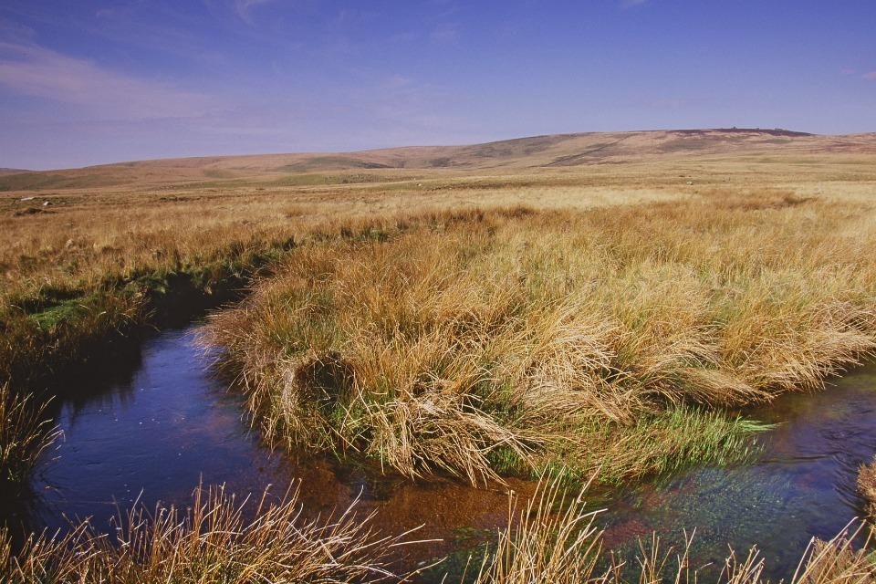 Independent review provides recommendations for the management of protected sites on dartmoor