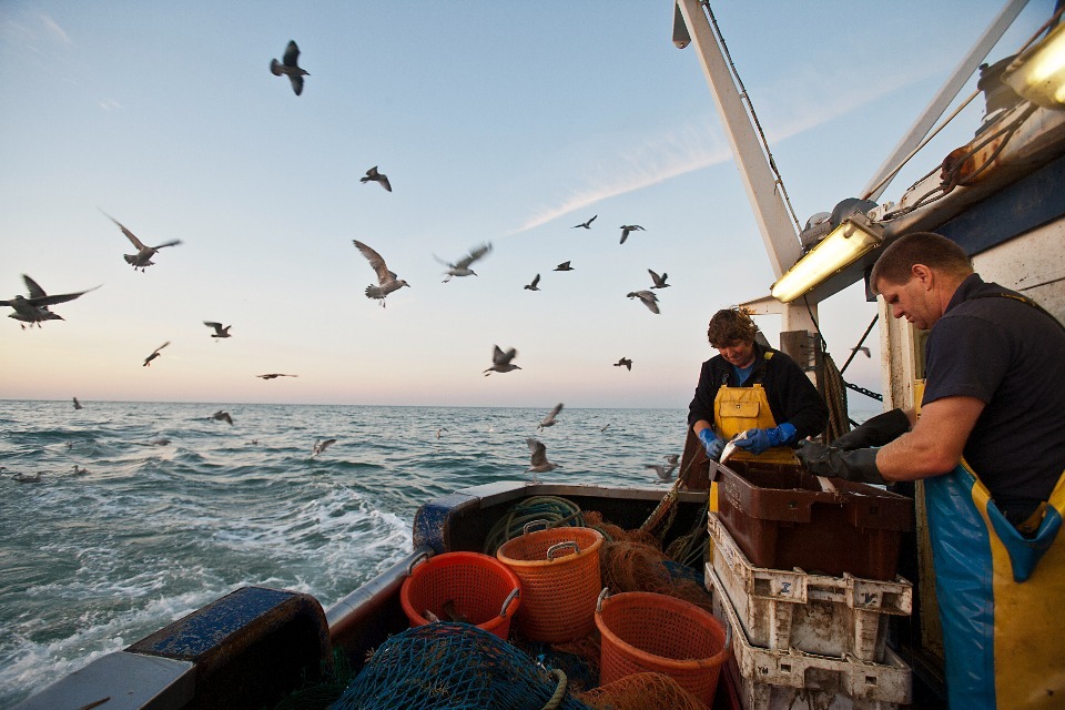 Post Brexit freedoms to deliver more support for UK sustainable fishing