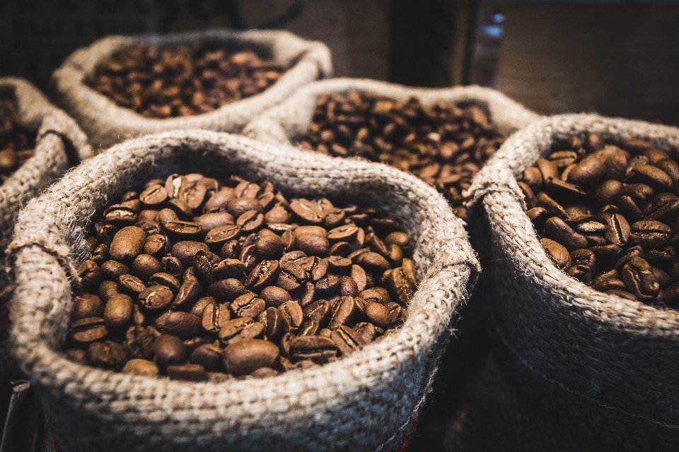 GC team work on isotope ratio analysis of coffee beans