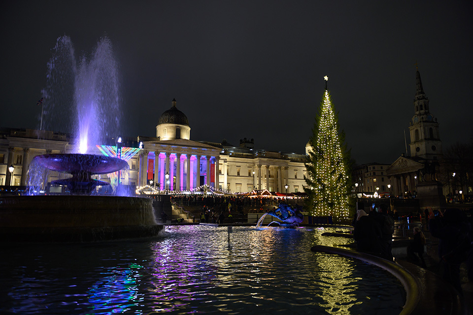 Celebrating the Seas-on of Christmas