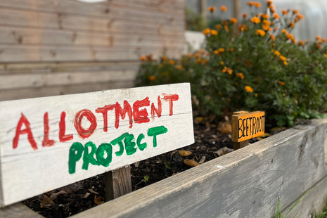 The allotment project at Blaenau Gwent and Caerphilly Youth Offending Service. 