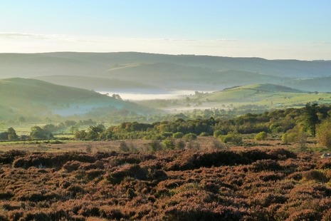 Photograph of Stiperstones NNR