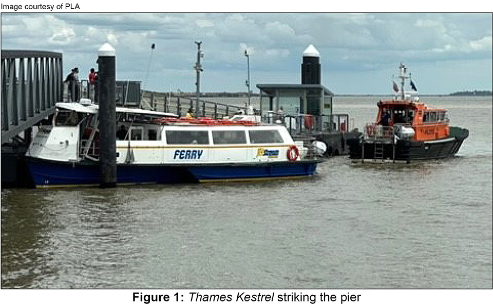 Thames Kestrel Figure 1 - Thames Kestrel striking the pier