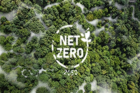 Вид с воздуха на лес с надписью Net Zero 2025 в центре.