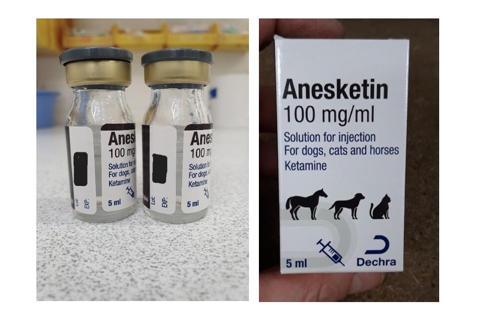 Recall alert for Anesketin 100 mg/ml 5ml Solution for Injection - GOV.UK