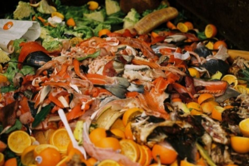 New £295m for councils to introduce weekly food waste collections
