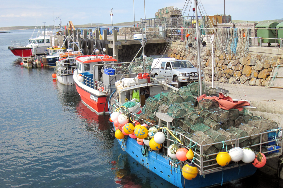 New plans revealed to support UK’s fishing industry