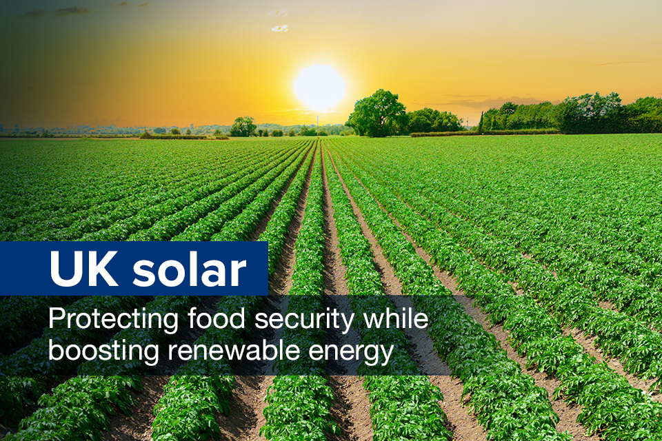 Solar projects must fit in with food security