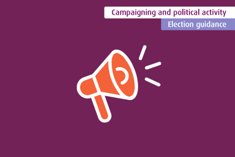 Campaigning and political activity - Election guidance 