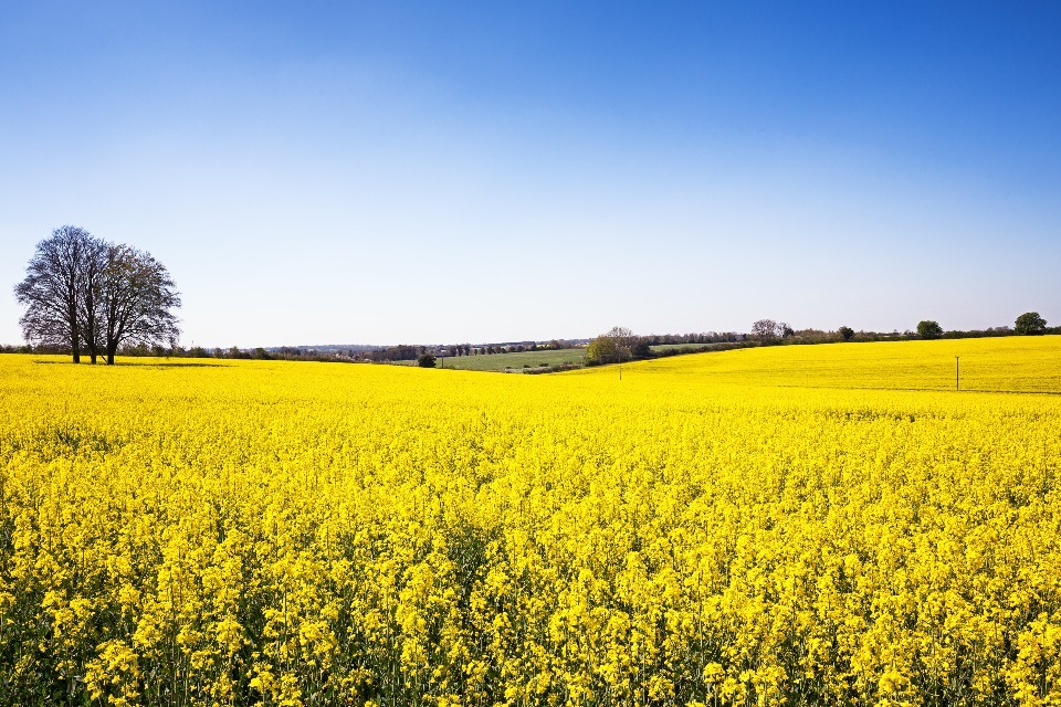 Farming Recovery Fund expanded 