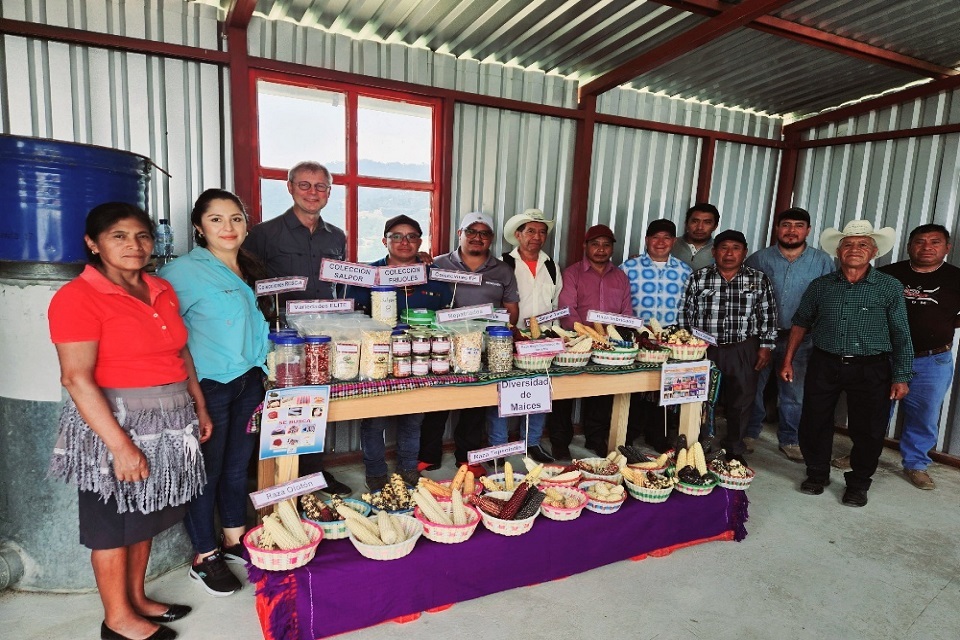 United Kingdom strengthens food security in Central America through genetic biodiversity