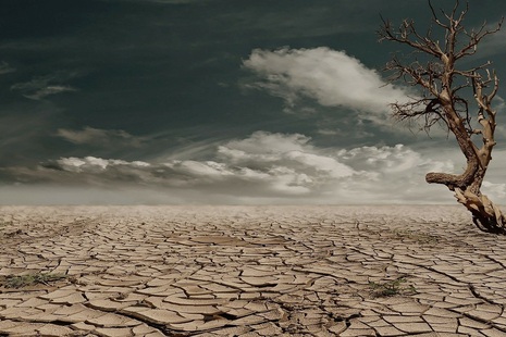 Parched desert with skeletal tree against a dark blue sky with white clouds.  Credit: Unsplash