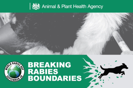 Image of the Breaking Rabies Boundaries logo