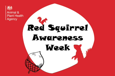 Image of cartoon squirrels and an acorn with the words Red Squirrel awareness week. 