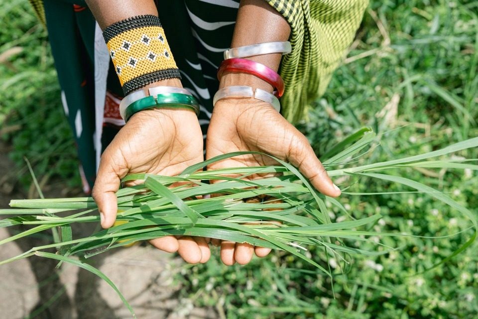 UK climate finance helps reduce more than 105 million tonnes of greenhouse gas emissions globally