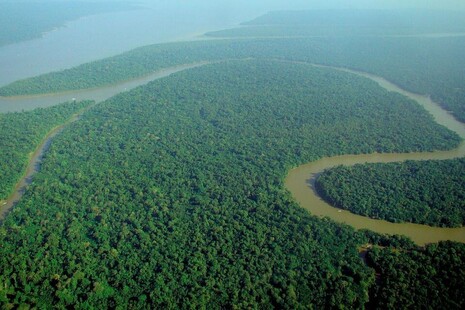 Aerial view of the Amazon rainforest