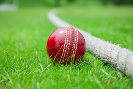 Red cricket ball next to a cricket boundary rope