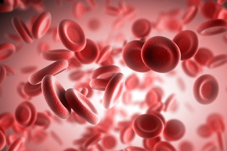 Red blood cells