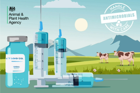 Image of medicine bottles, syringes and also cows with green mountains in the back ground.