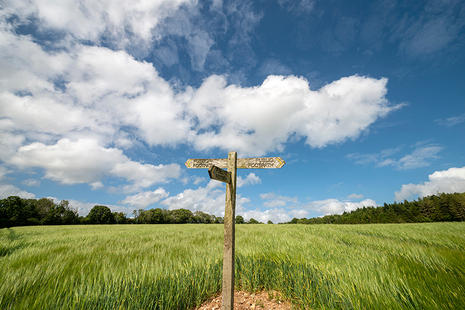 Green field with wooden sign saying footpath