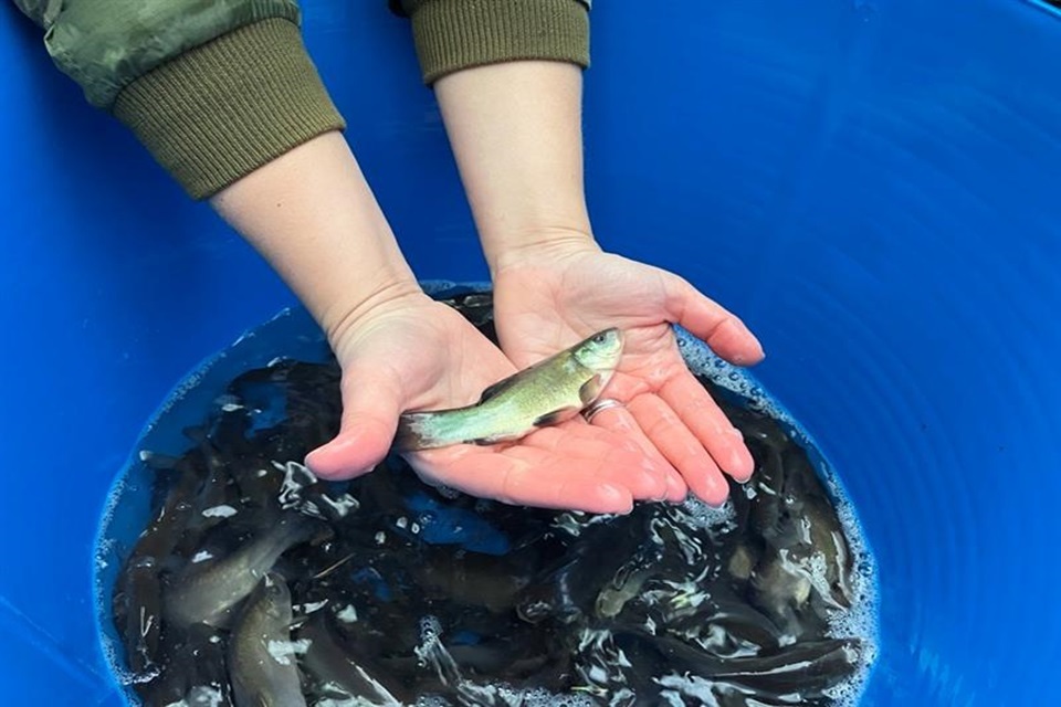 A very Merry Fishmas for South East anglers