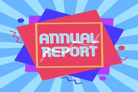 Annual report text