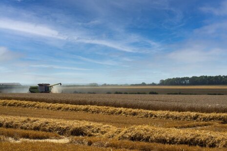 Brown field under blue sky with farming machinery at work