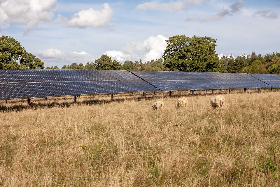 West Burton Solar Project development consent decision announced
