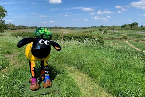 A photograph of Shaun the Sheep at the Lower Derwent Valley NNR