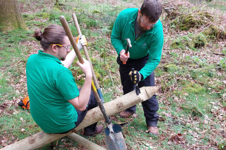 2 Forestry Commission apprentices at work.